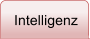 Intelligenz